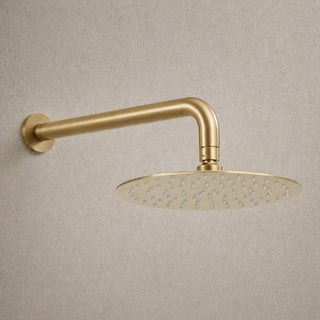 Reno brushed brass rainfall shower head on white background full view